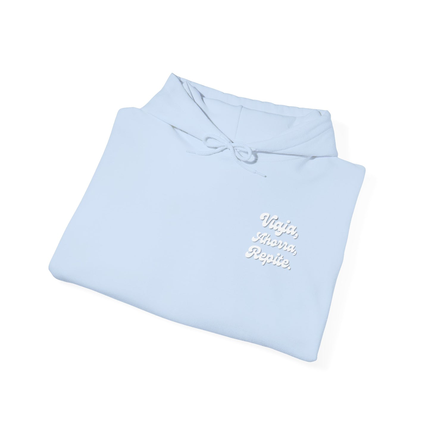 Viaja, Ahorra, Repite - Hoddie