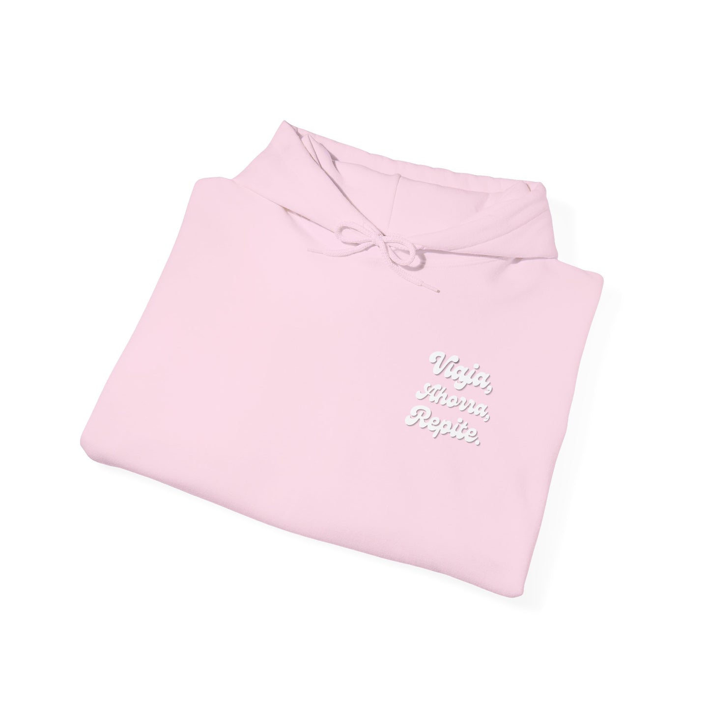 Viaja, Ahorra, Repite - Hoddie