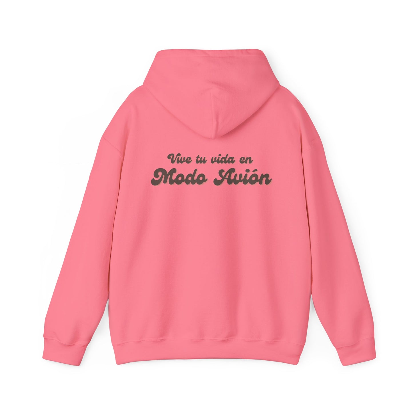 "Modo Avión" Hoodie