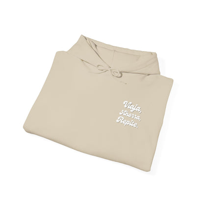 Viaja, Ahorra, Repite - Hoddie