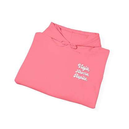 Viaja, Ahorra, Repite - Hoddie
